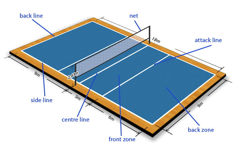 volley ball field of play
